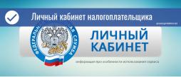 болотнинский педагогический колледж заочное обучение