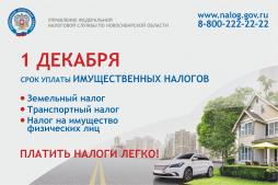 болотнинский педагогический колледж заочное обучение
